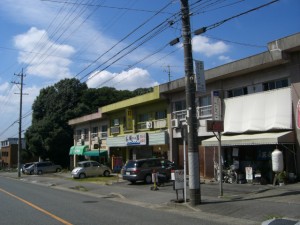 左奥の雑木林の辺りにも駐車可能