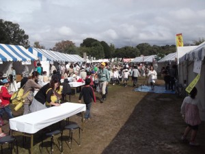 時折日差しの射す時間帯も