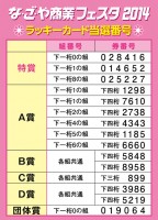 な・ご・や商業フェスタ2014 当選番号