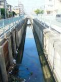 浦里の排水路