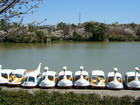 県営大高緑地(大高緑地公園) #県営大高緑地 #大高緑地公園